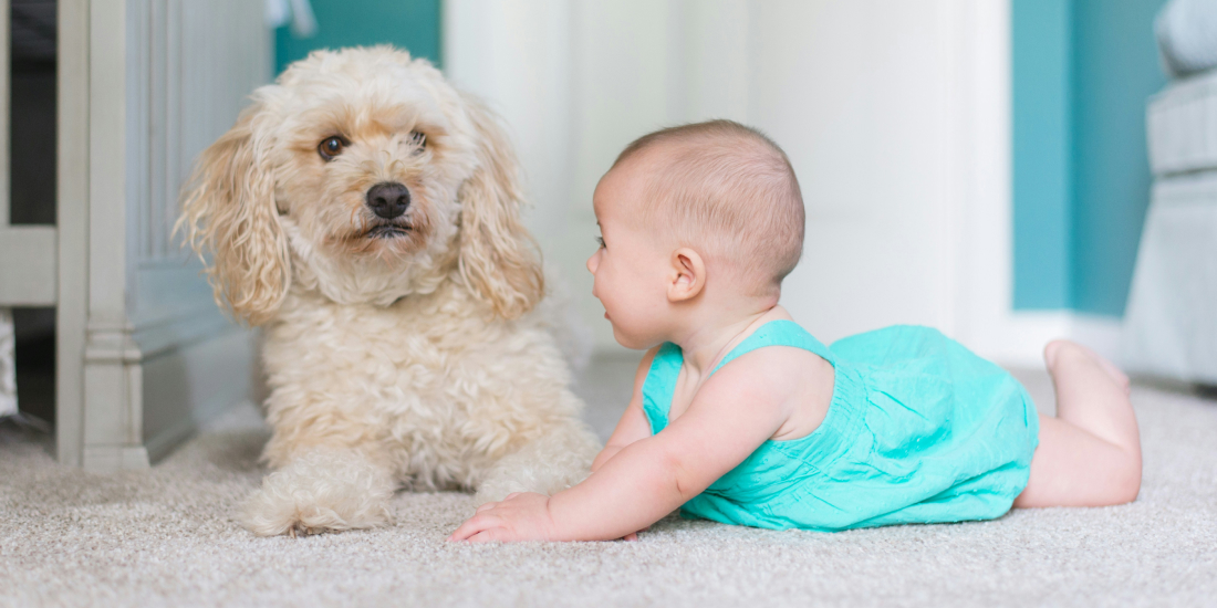 Baby on the floor with a pet dog